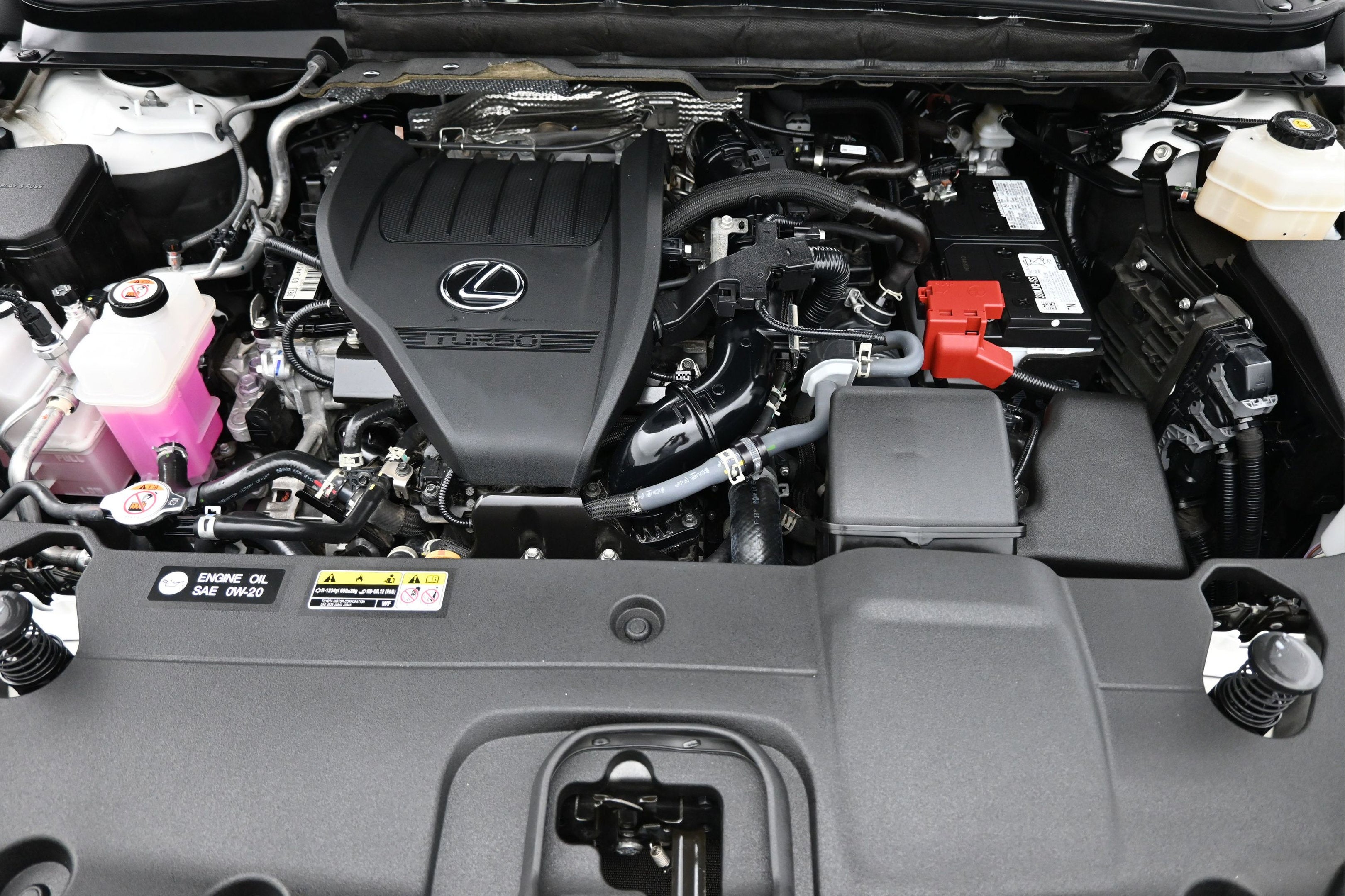 2024 Lexus RX 350 RX 350